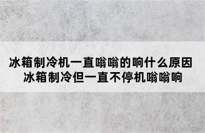 冰箱制冷机一直嗡嗡的响什么原因 冰箱制冷但一直不停机嗡嗡响